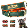 Collier chien réfléchissant personnalisé avec médaille gravée et sonnette