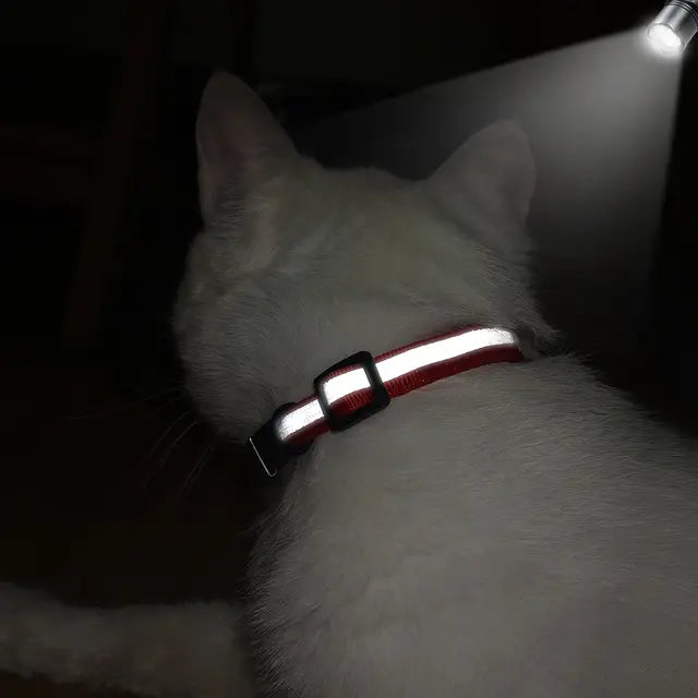 Collier chat réfléchissant - vue complète