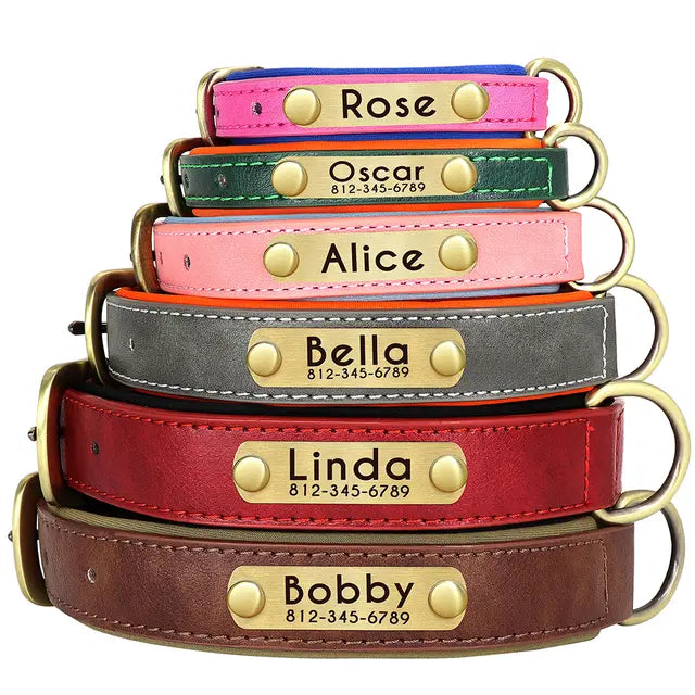 Collier chien réfléchissant - couleurs disponibles
