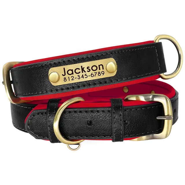 Collier chien réfléchissant personnalisé - photo produit 7